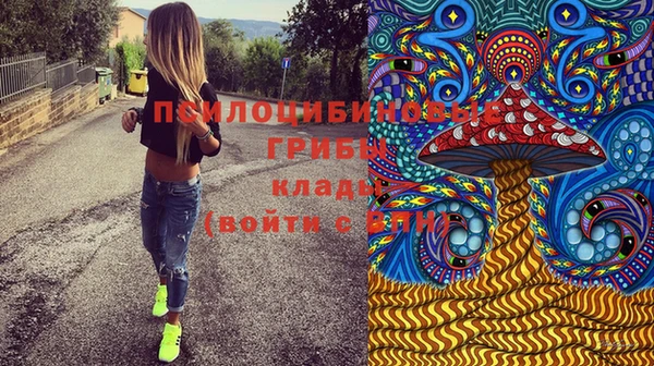 ГАЛЛЮЦИНОГЕННЫЕ ГРИБЫ Алексеевка