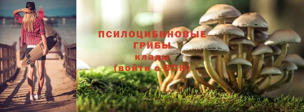 ГАЛЛЮЦИНОГЕННЫЕ ГРИБЫ Алексеевка